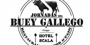Jornadas Buey Gallego